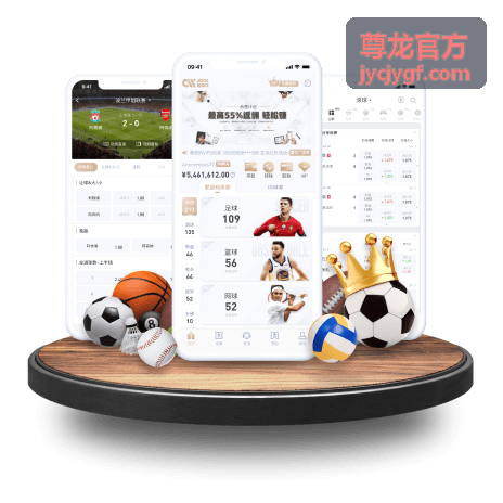 尊龙官方连接详情面板示意